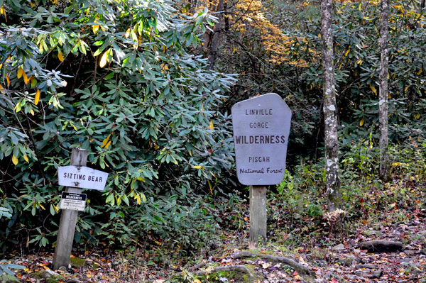 Linville Gorge Wilderness sign